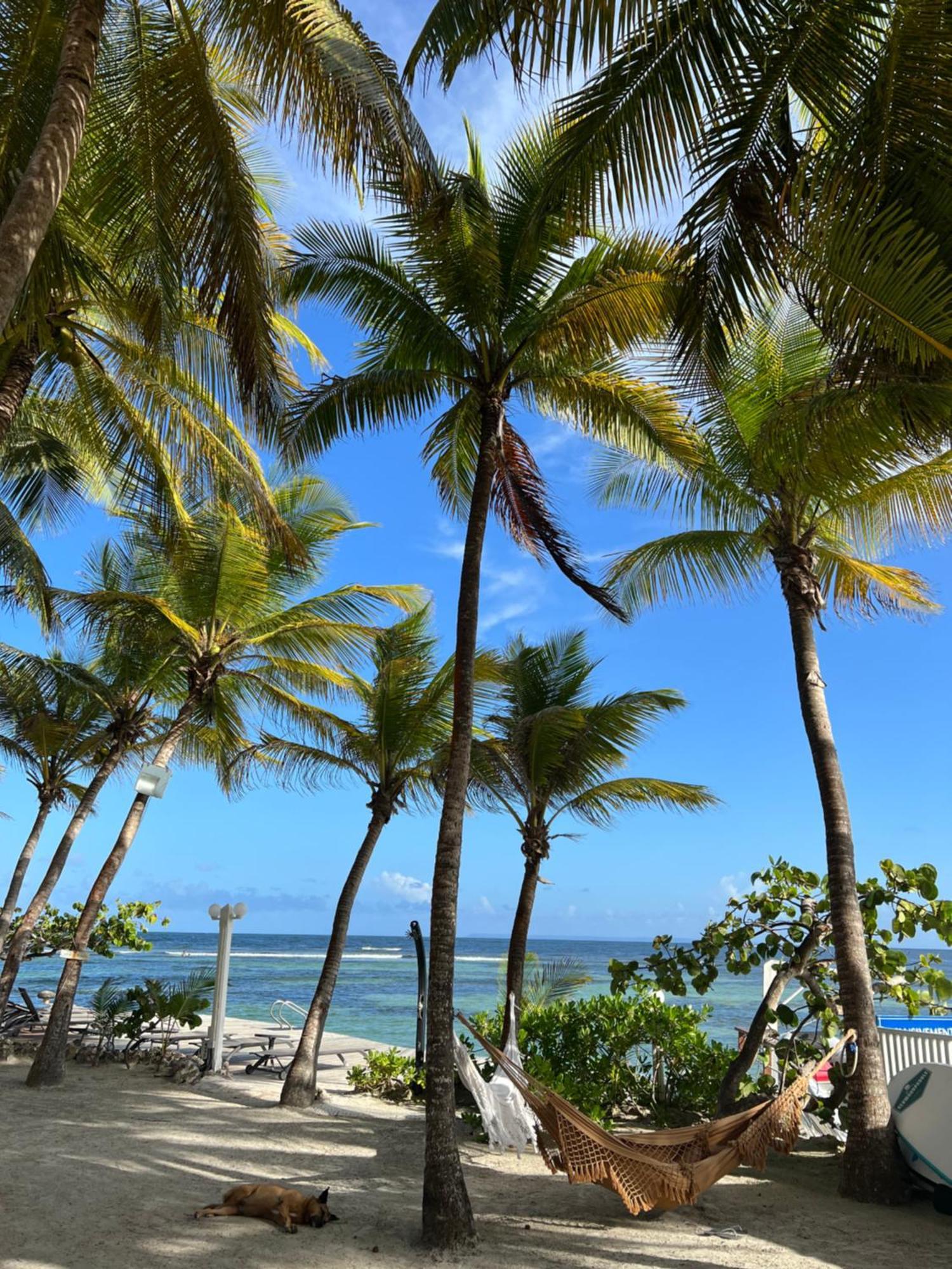 Guadeloupe- Saint-Francois- Residence Anse Des Rochers - Appartement Quart De Villa Etage - Vue Mer- 4 Personnes - Lit Bebe Sur Demande - Citerne Et Wifi Prives -Animaux Ok-Acces Plage Direct -Apnee Bien-Etre Experience Sur Demande Avec Instructeur A Dış mekan fotoğraf